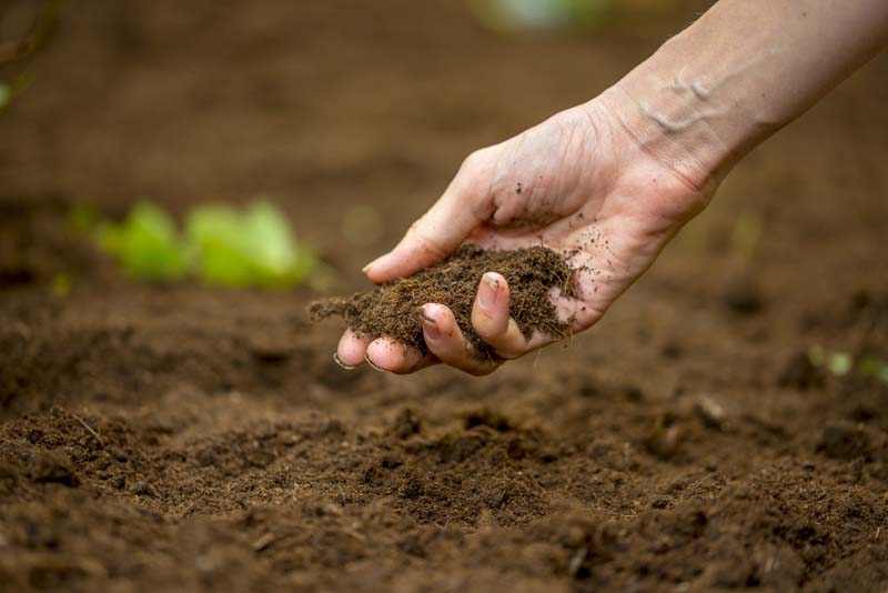 Soil Decontamination and Rehabilitation Montreal